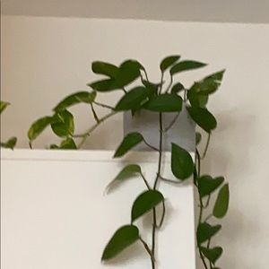 Meet your Posher, Coco